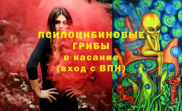2c-b Арсеньев